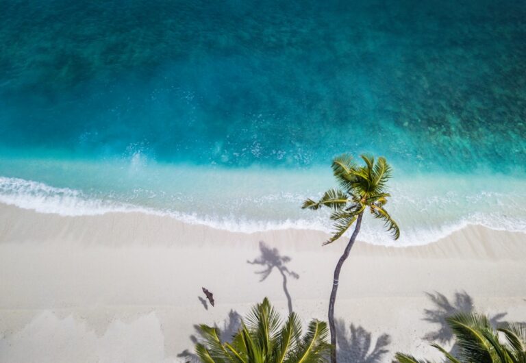 Explore the World with Trifavoyages: Your Ultimate Travel Companion